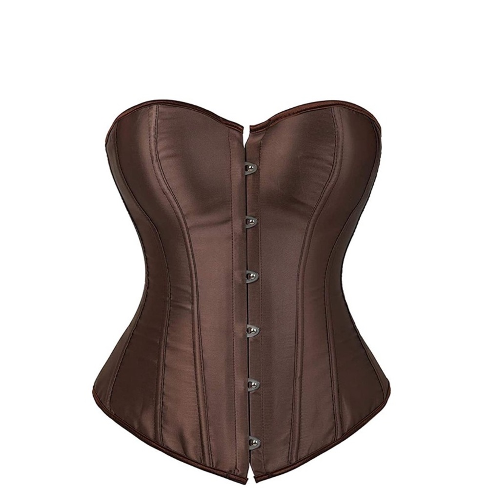 NWT viral brown satin corset top